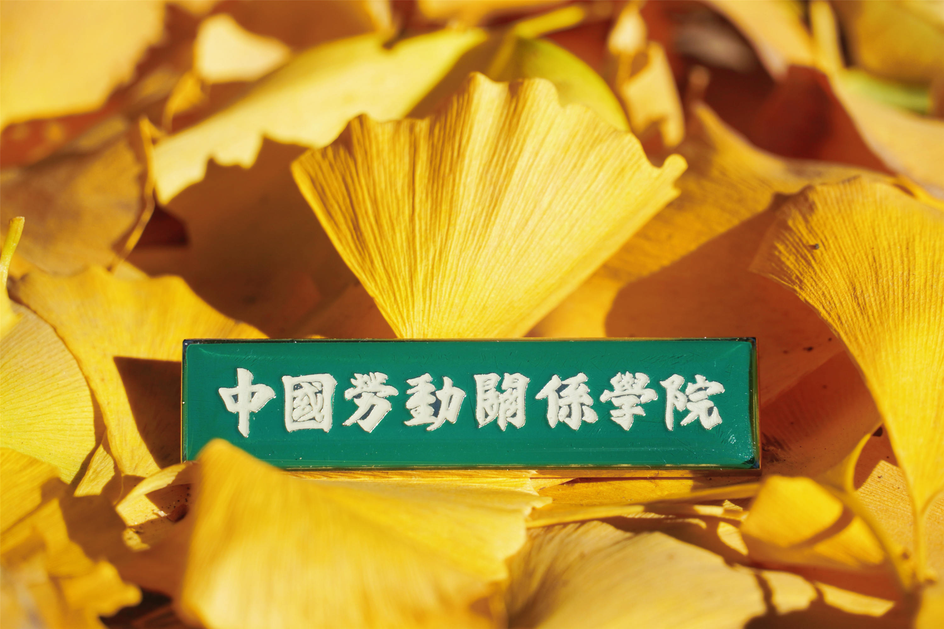 2022北京校区秋日