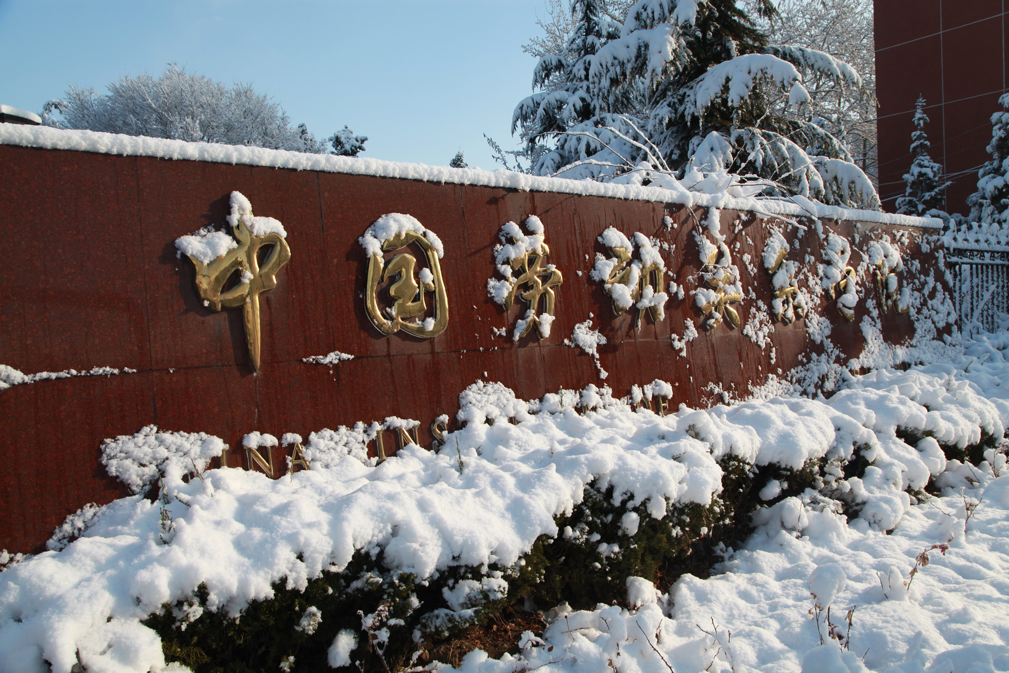 雪中校园（系列）