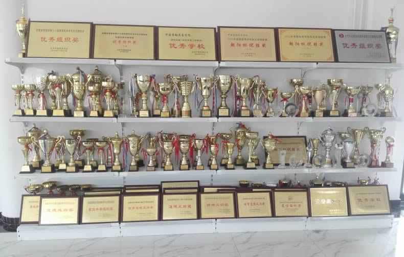 “德志寄予体，无体无德志”——近年来我校体育教育事业取得显著成绩