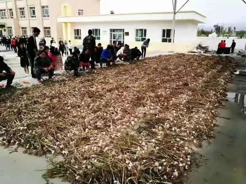 微信图片_20211127173934.jpg