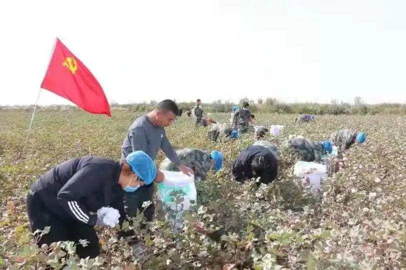 微信图片_20211127173925.jpg